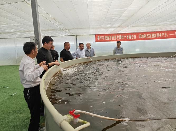 哪些品牌龍魚藥品比較可靠？