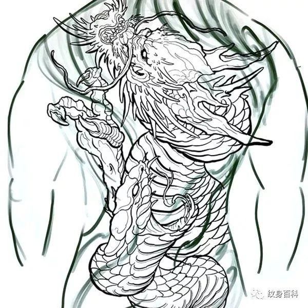 龍魚手稿：有關(guān)龍魚手稿的信息