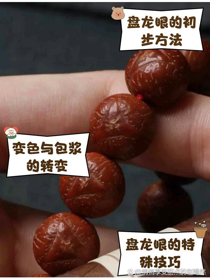 如何判斷龍眼菩提是否包漿成功？
