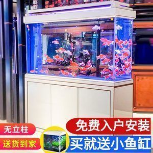 養龍魚的魚缸怎么清潔：養龍魚的魚缸清潔方法