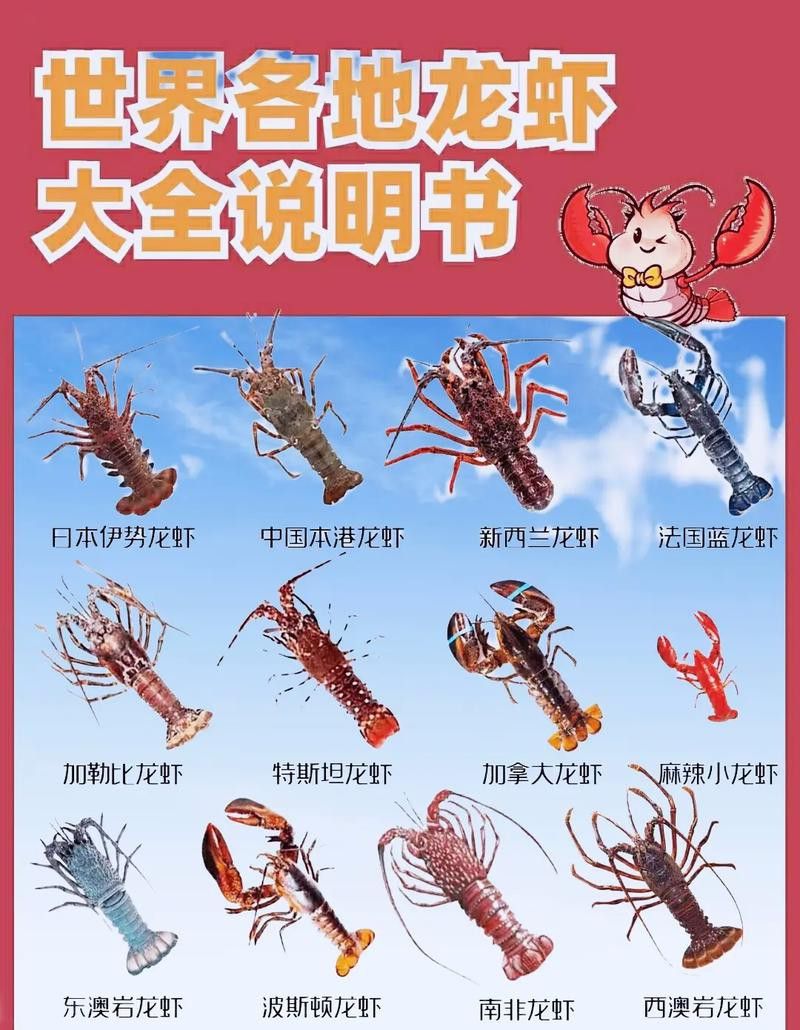 有沒有不同種類的龍蝦圖片？