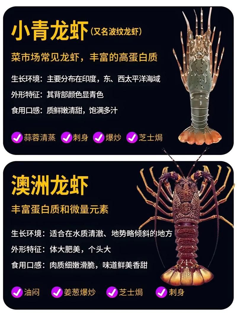 有沒有不同種類的龍蝦圖片？