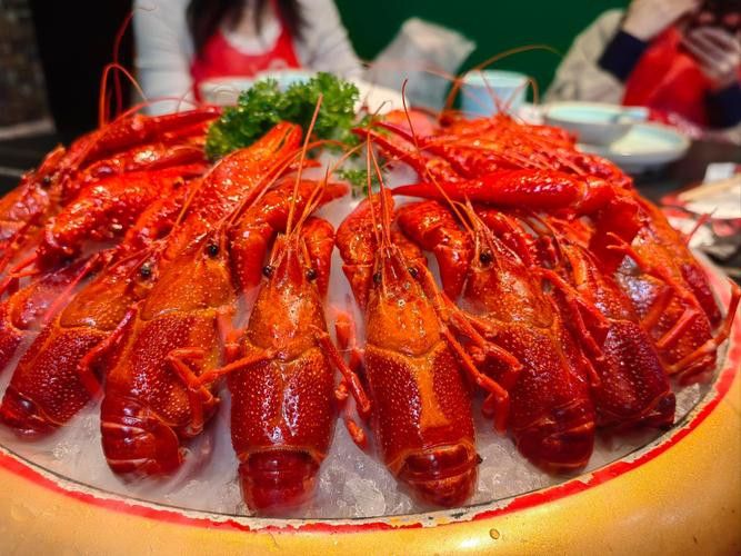 有沒有不同種類的龍蝦圖片？