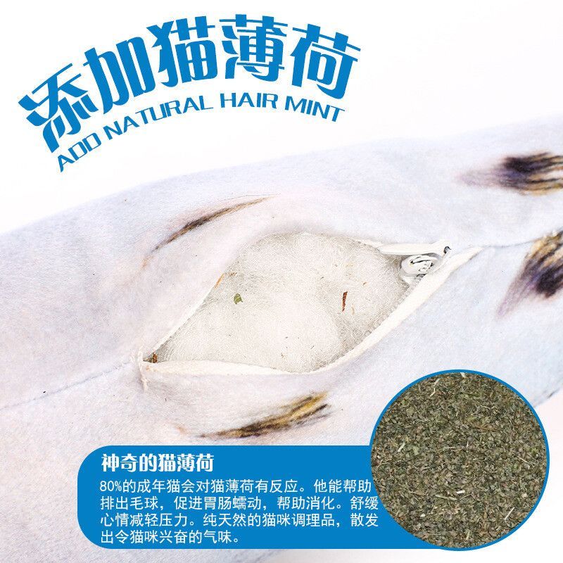 銀龍魚黃金貓魚飼料選擇：銀龍魚和黃金貓魚混養飼料選擇方法介紹