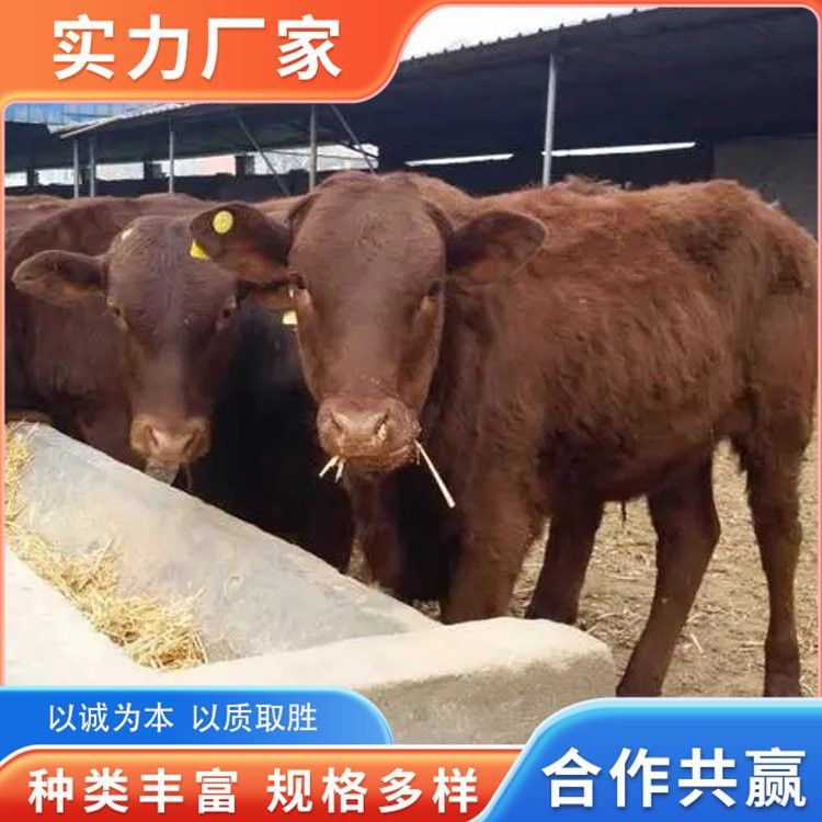 這些繁殖場的價格如何？