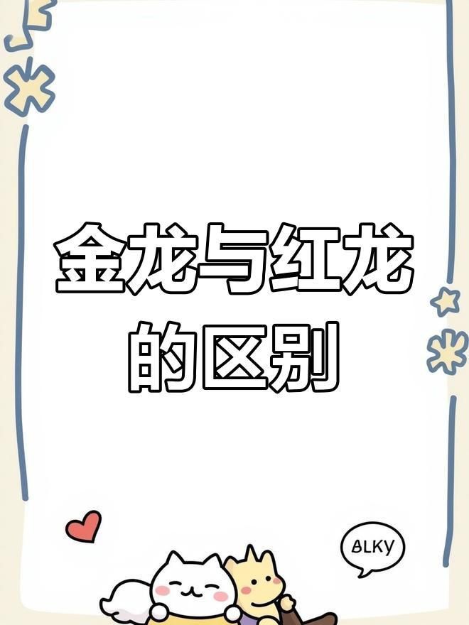 如何區分紅龍和金龍？