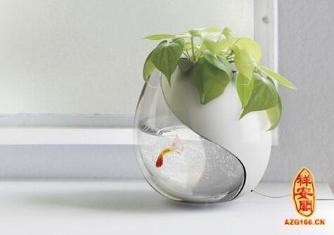 60的魚缸算大嗎（60cm魚缸適合養哪些魚，魚缸大小對水質影響如何計算）