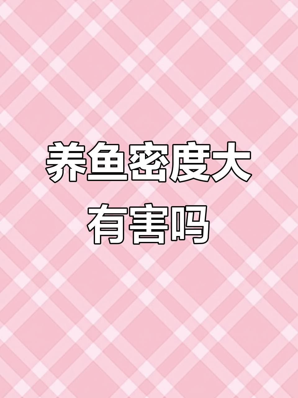 金龍魚的最佳飼養密度是多少？