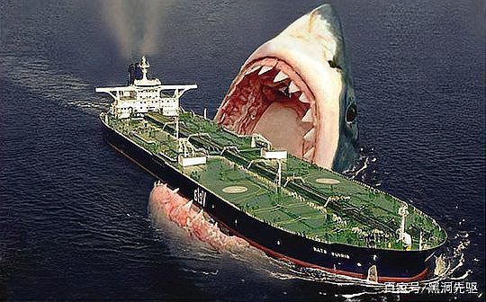 巨齒鯊vs大白鯊 龍魚百科 第7張 巨齒鯊vs大白鯊 巨齒鯊vs大白鯊 龍魚百科 第7張