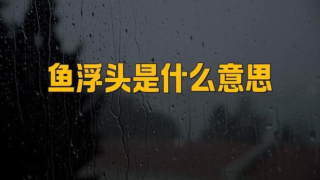 龍魚浮頭后多久會(huì)死亡