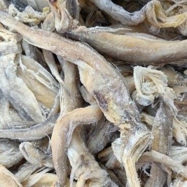 龍頭魚干貨圖片