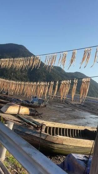龍頭魚干貨圖片