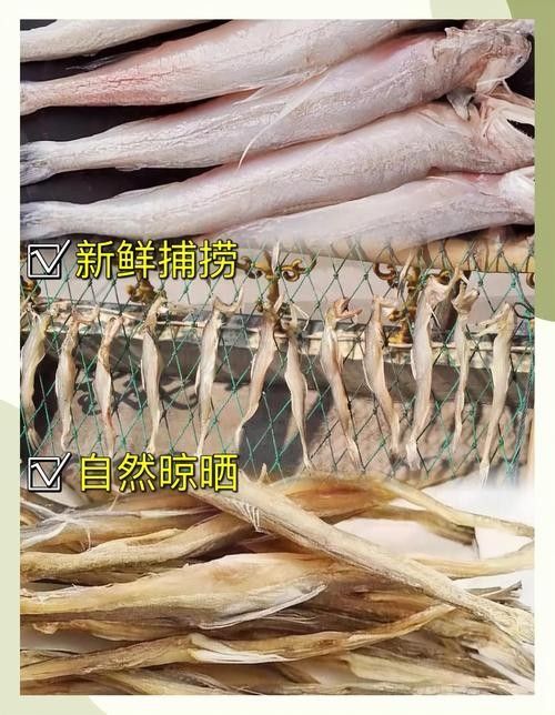 龍頭魚干貨圖片