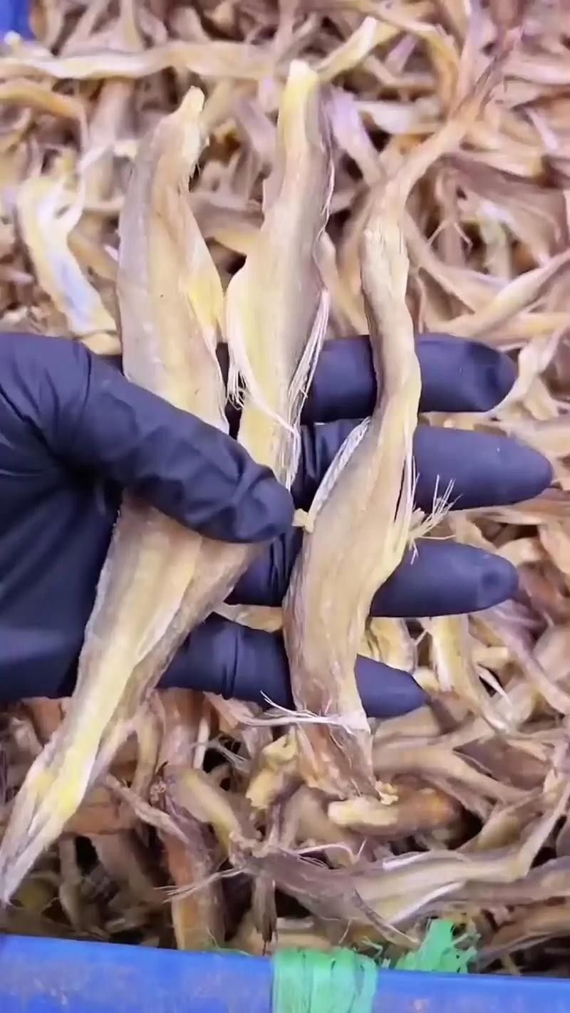 龍頭魚干貨圖片