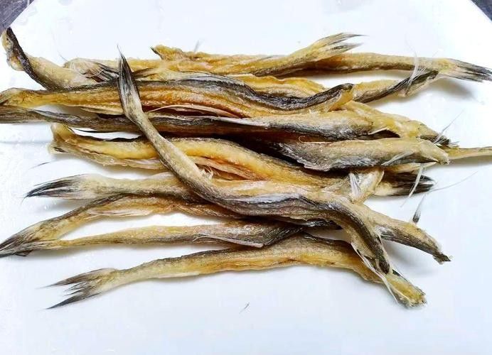 龍頭魚干貨圖片