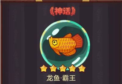 龍魚交流微信（尋找龍魚交流微信群）
