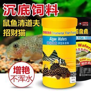 招財貓魚繁殖期飼料品牌推薦：招財貓魚繁殖期營養需求，自制招財貓魚飼料添加劑