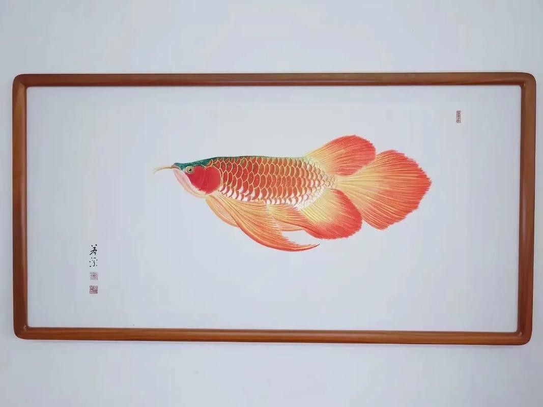 有沒有更多高清紅龍魚壁紙平臺？