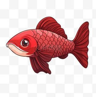 哪里可以找到高清紅龍魚壁紙？