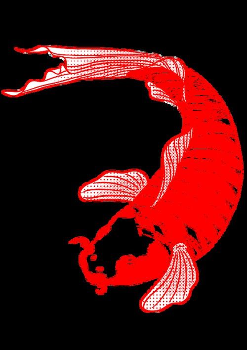 哪里可以找到高清紅龍魚壁紙？