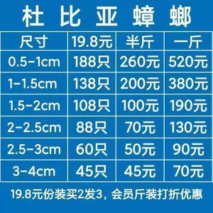 龍魚空運多少錢一斤啊：關(guān)于“龍魚空運多少錢一斤”的查詢當(dāng)前無法直接提供具體信息