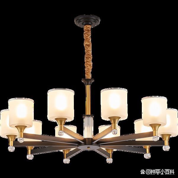 客廳燈具圖片大全 客廳燈具圖片大全 龍魚百科 第29張