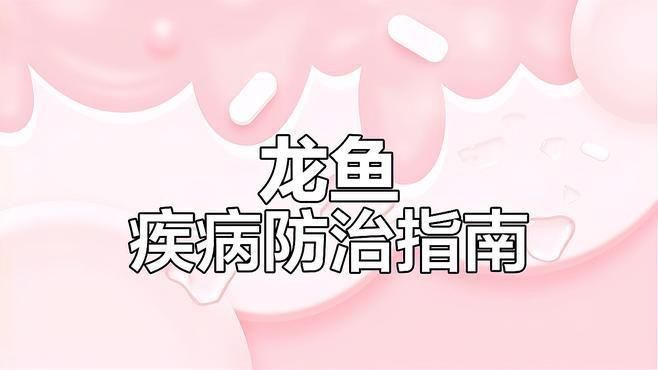 龍魚炸鱗視頻全過程