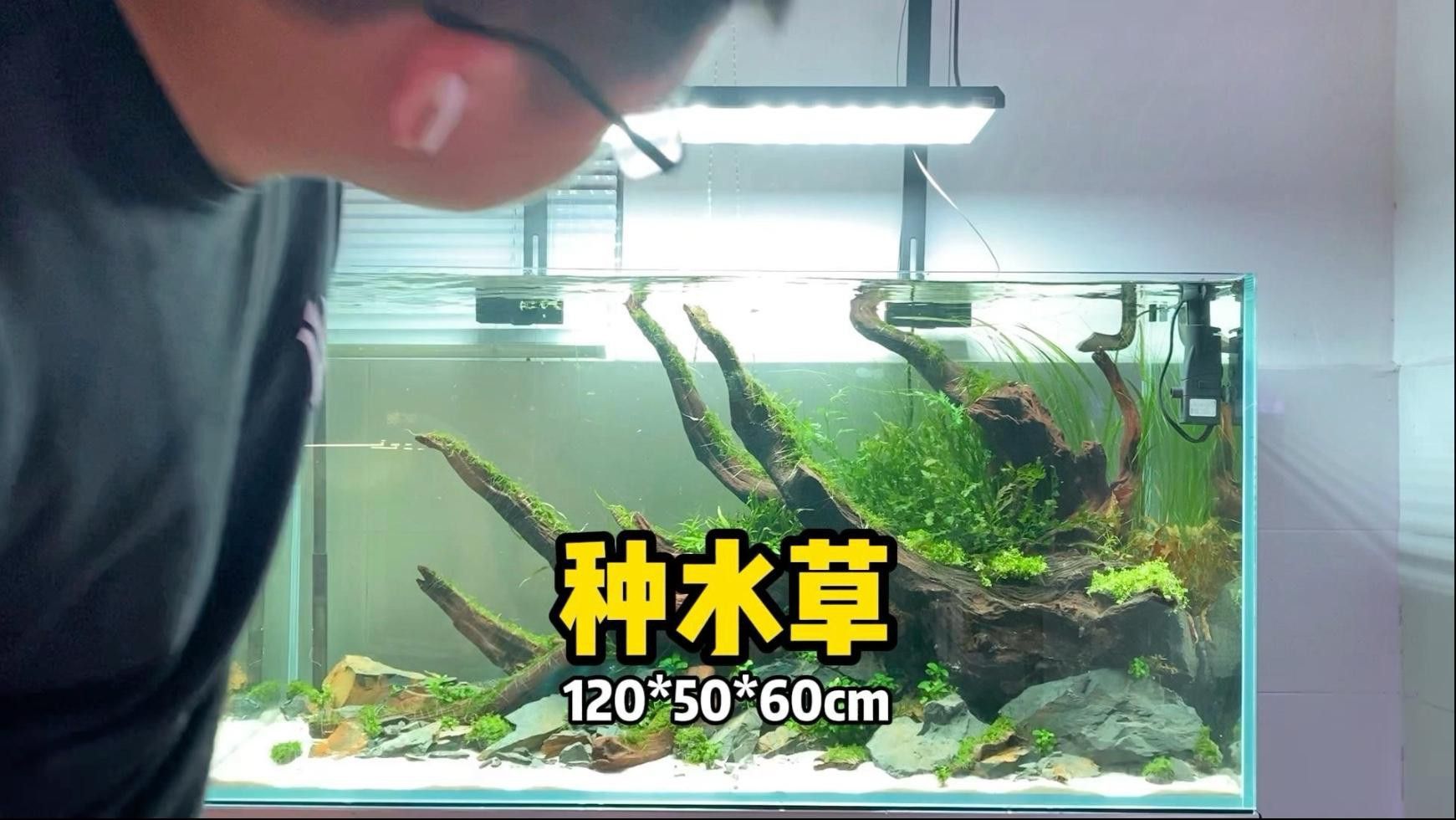 一米二的魚缸可以混養哪些魚？