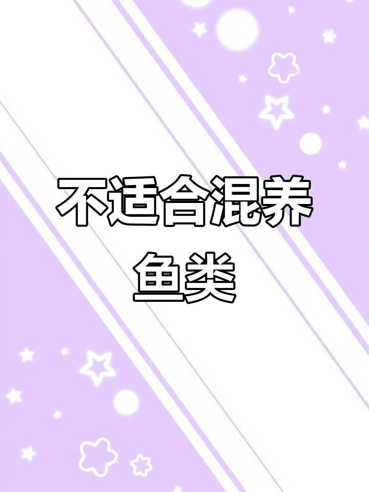 一米二的魚缸可以混養哪些魚？