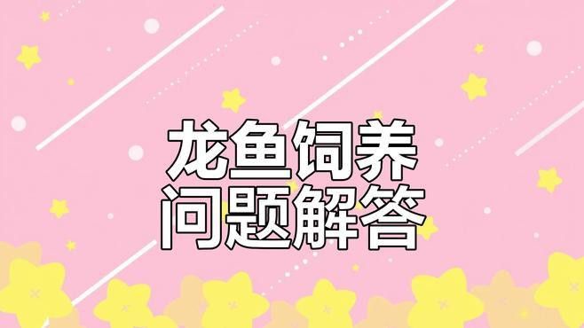 如何為銀龍魚提供最佳的營養？