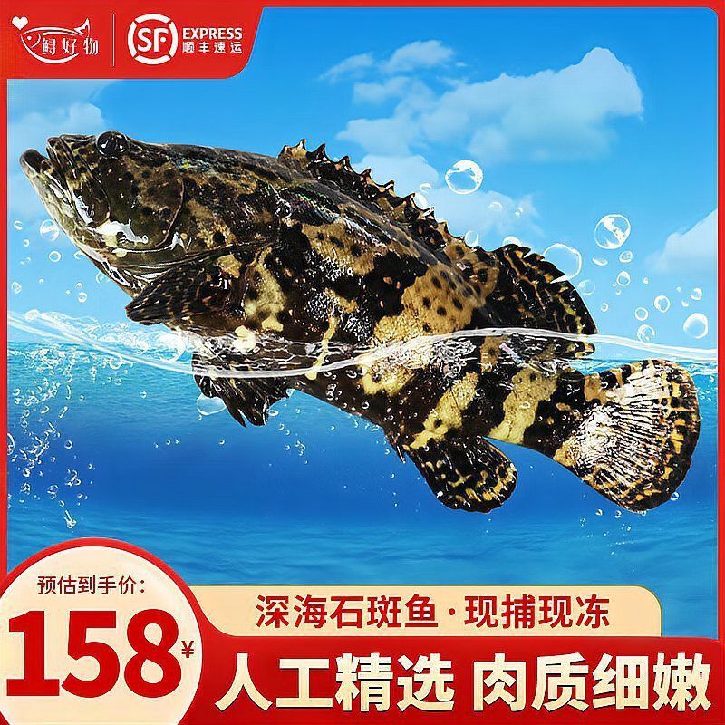 龍魚的平均壽命是多少：龍魚的壽命一般在10-20年左右，平均壽命是多少