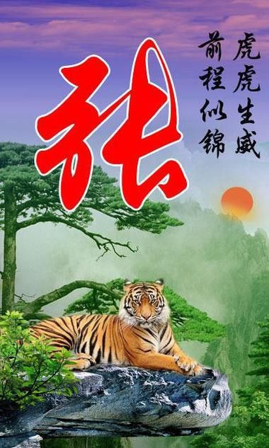 帶張字的龍圖片高清版 帶張字的龍圖片高清版 龍魚百科 第9張