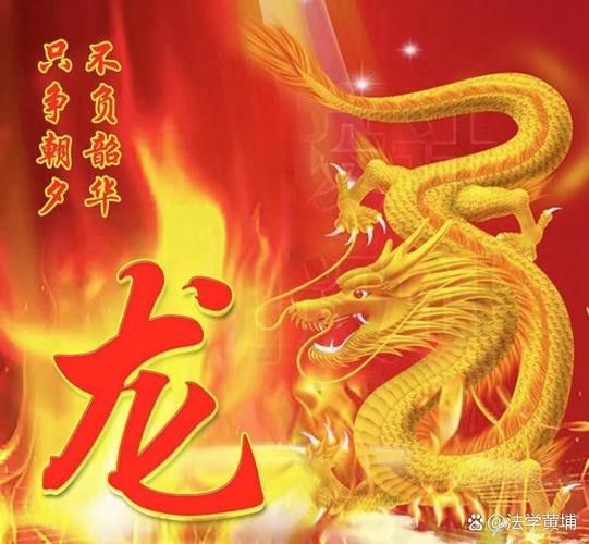 帶張字的龍圖片高清版 帶張字的龍圖片高清版 龍魚百科 第19張