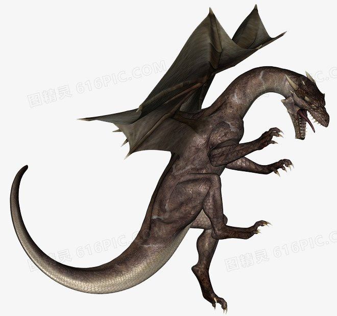 帶張字的龍圖片高清版 帶張字的龍圖片高清版 龍魚百科 第29張