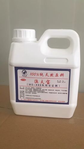 長春龍魚運輸