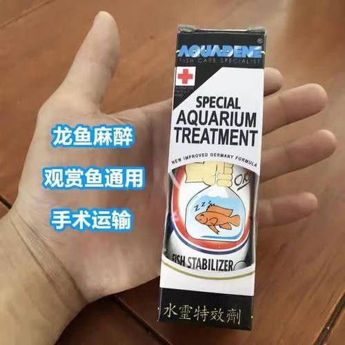 長春龍魚運輸