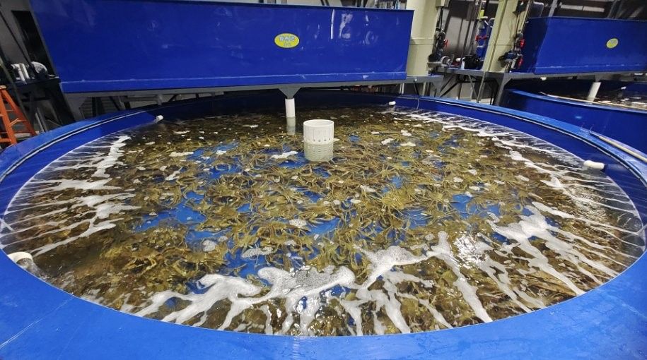 長春龍魚運輸