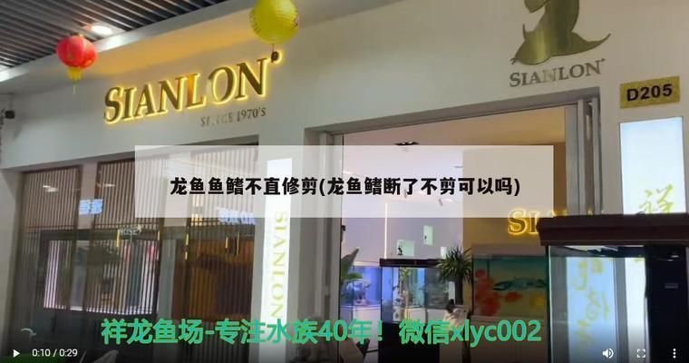 龍魚鰭斷了不剪可以嗎：龍魚鰭斷了是否剪掉需要根據具體情況來判斷是否剪掉