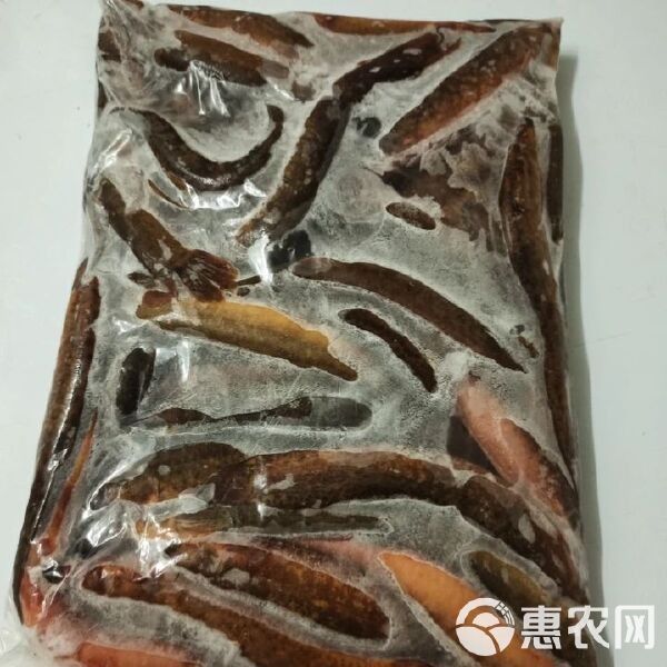 龍鰍魚的價格是多少？