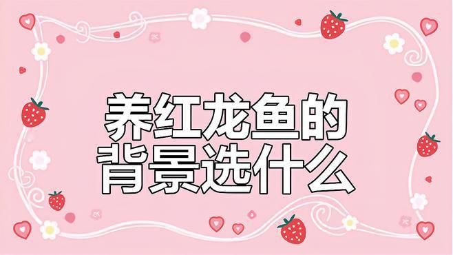 龍魚缸最建議買的三個顏色