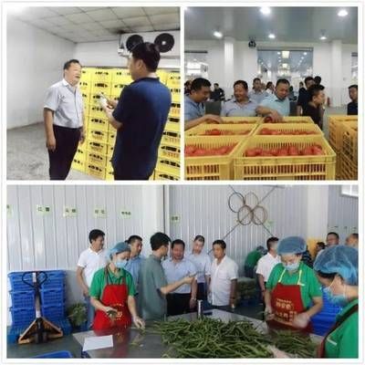 金龍魚車間主任（金龍魚車間主任崗位晉升條件）