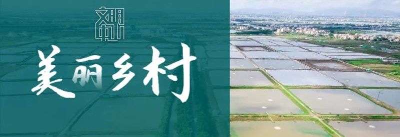 廣東龍魚養(yǎng)殖基地有哪些地方呢