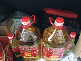 金龍魚金色的多少錢：金龍魚金色的價格受多種因素影響，金龍魚價格受多種影響
