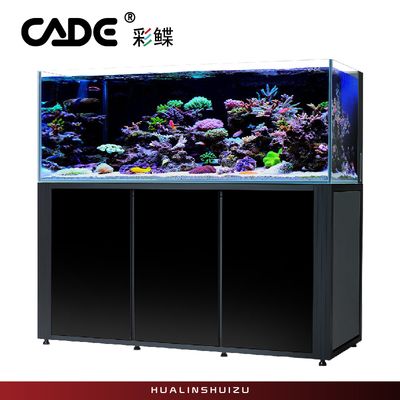 紅龍魚高清圖片素材（紅龍魚高清圖片素材大全）