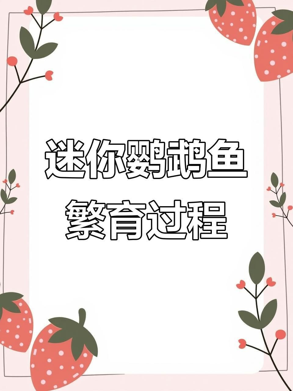 迷你鸚鵡魚卵孵化要幾天
