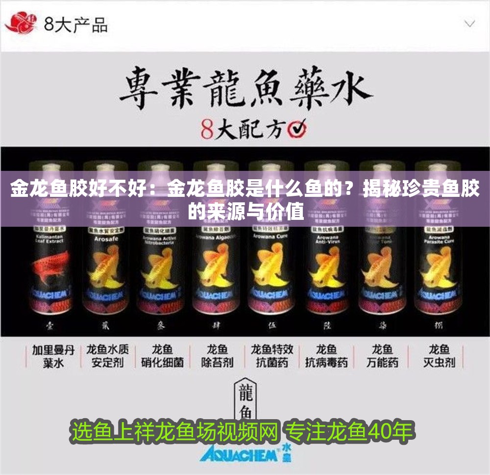 金龍魚(yú)膠好不好：金龍魚(yú)膠是什么魚(yú)的？揭秘珍貴魚(yú)膠的來(lái)源與價(jià)值