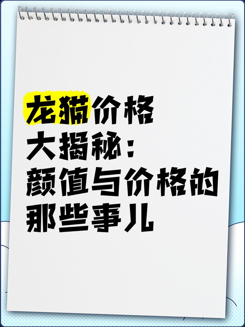 龍貓的價格是多少？