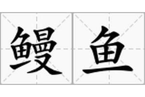 毛魚和鰻魚一樣嗎