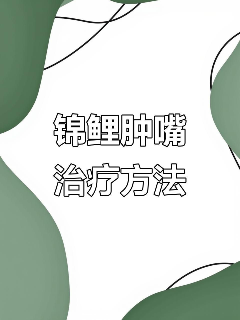 錦鯉嘴撞歪了多久能恢復