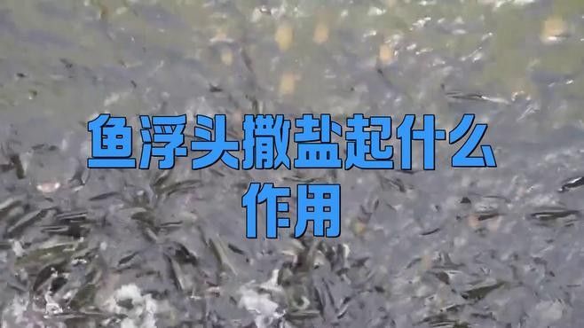 龍魚浮頭加鹽可以連續使用嗎？